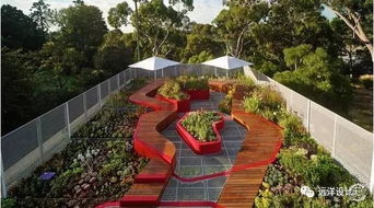 屋顶花园的独特魅力