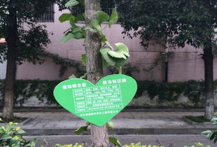 浇水， 植物的健康生活