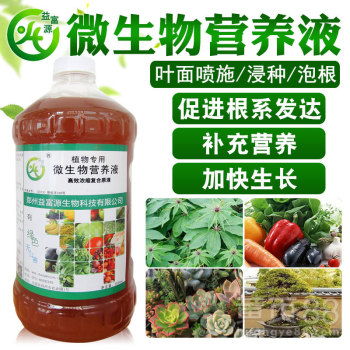 土壤中的秘密：白芨除草剂成分的探讨