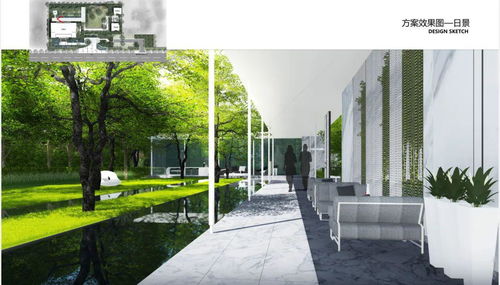 创意无限：运用创意来点缀