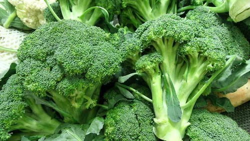 西兰花黄了怎么办？泡水还是煮水？