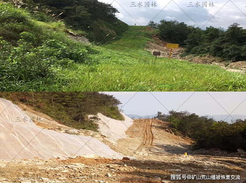 高速公路护坡草种，你了解多少？