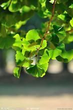 地形适配方案，你懂了吗？