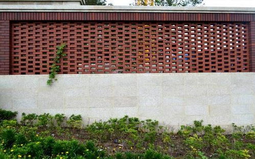 第二章：那些美丽的耐寒树儿