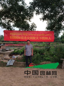 石家庄市藁城区轩园苗圃场：华北地区的大花园