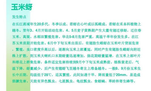 猪耳朵发紫：病因及防治策略