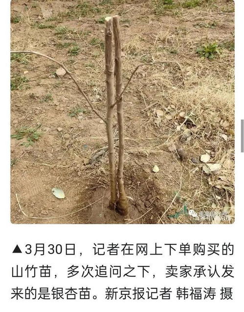 市场潜力大， 但竞争激烈