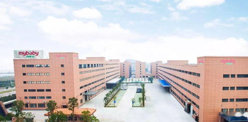 长穗苎麻1号：纤维强度提升23%