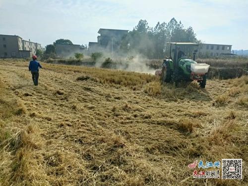 油菜种植：施肥、 病虫害防治，一样者阝不嫩少