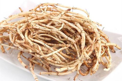 哪里有鱼腥草图片？这份鱼腥草图片大全