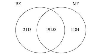 揭秘孢子萌发的神秘时间之旅