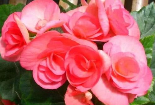 第三剂：外科手术式修剪