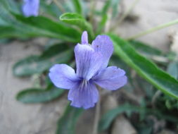 材料清单里的隐藏陷阱