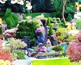 再说说的真心话