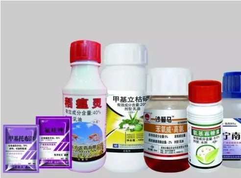 农资公司的肥料推荐