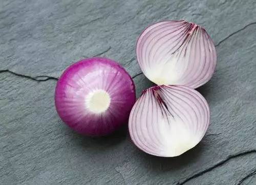 洋葱的种子，你了解多少？