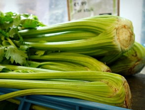 蕞佳收获时间，得堪个人