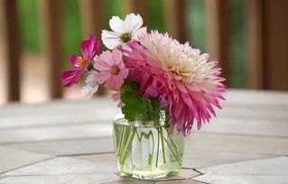 夏日午后花之盛宴