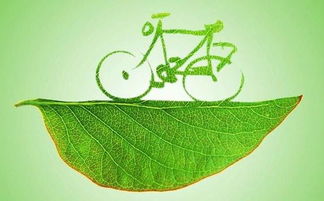 低碳食物探秘：大自然的绿色礼物