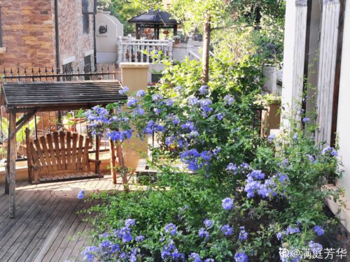 绿化与硬化的巧妙结合