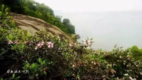 贵州气候：大自然的绿色画笔