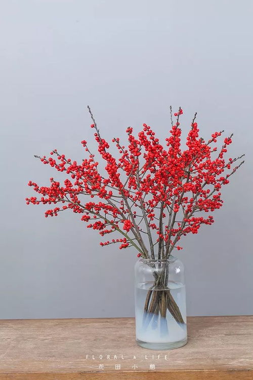 大花蕙兰，提升空间层次