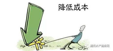 混合猪饲料价格是多少？如何选购避免成本浪费？养殖户必看避坑指南！