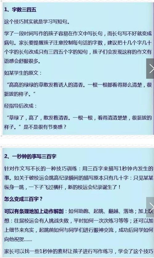 掌握美丽莲养护秘籍：高效管理与护理技巧