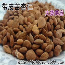 2025年杏仁种子价格大揭秘