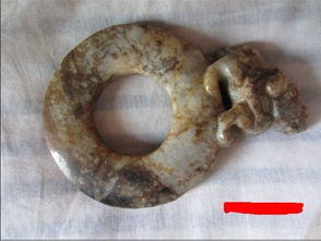 丹参乌龙事件：养生馆高价购入“巨型丹参”竟被揭穿是染色牛膝！