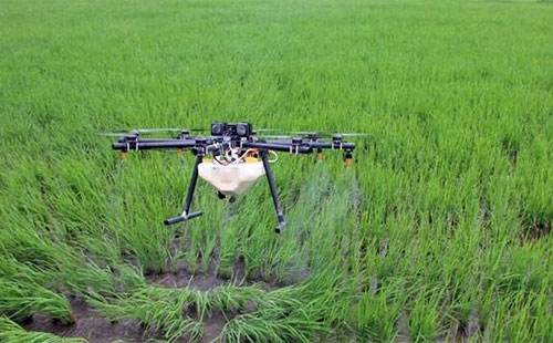 刘家伟种植棉花的经验