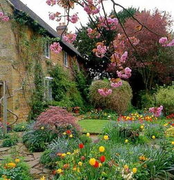 花儿搭配，讲究的是氛围