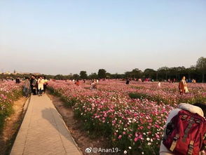 北京园林研究院的推荐组合