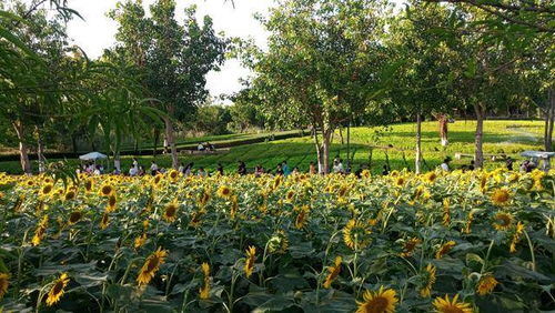 拍照打卡指南大揭秘