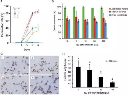 发芽温度的实验室数据