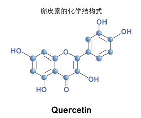 强烈警告：300mg/L的生根剂竟然是植物的杀手？