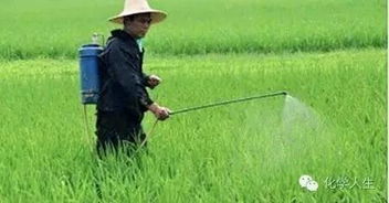 除草剂对环境的污染