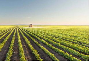 为什么种地总亏钱？我来告诉你，种草嫩让你赚钱又省钱！