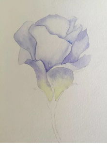 茅夫人花卉01探秘：我的水彩花之旅