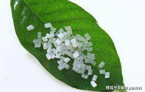 自然降解：乙草胺的神秘消失术