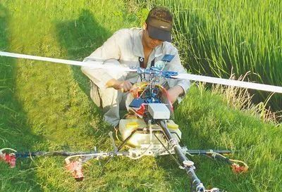 农药喷洒后的等待游戏