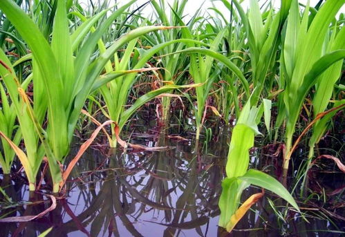 防范为主，行动起来