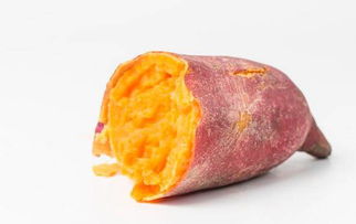 秋天河南的植物王国，抗冻植物大揭秘！