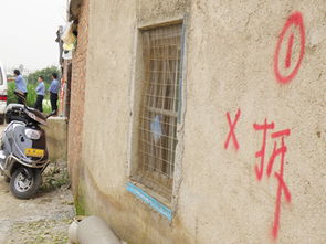 推广生态养猪，实现粪便污水资源化利用