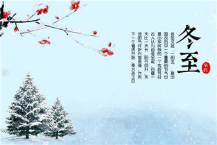 “水仙梅花（追寻自我）的内涵和象征意义是什么