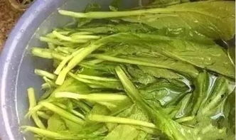 农药残留，到底是个啥玩意儿？