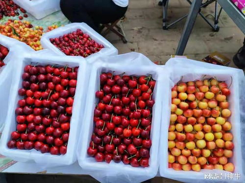 种子没动静？及时联系卖家