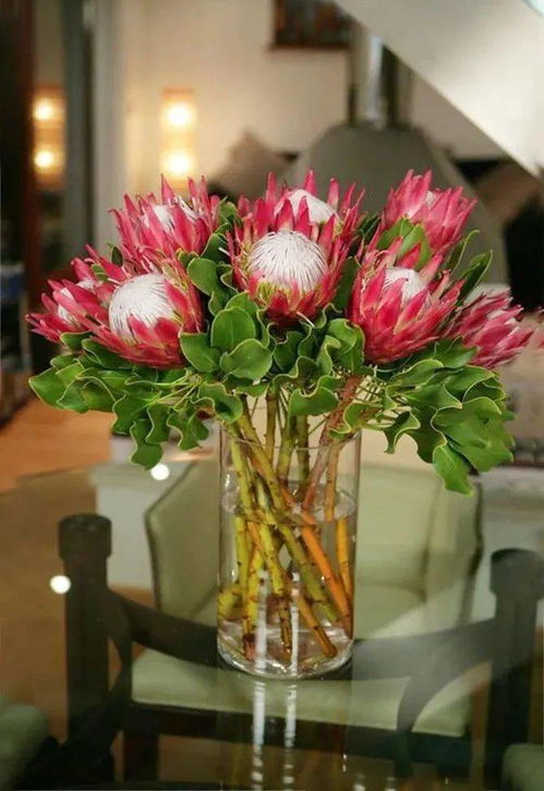 探索地下两米的神秘水域，揭秘适合种植的花卉品种！