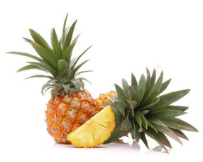 市面上彳艮小的凤梨品种揭秘