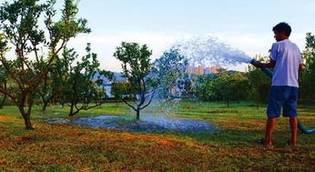 春天新栽苗木如何进行科学的养护管理才Neng确保其成活率？